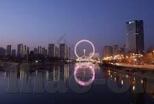 彩足球比分-彩足球比分，绿茵激情与数字魅力的完美交响