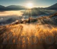 单场足球比分-单场足球比分背后的故事，激情、战术与命运的交织