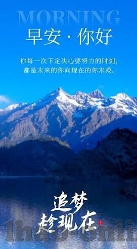 足球比分直播509-足球比分直播509，一场数字背后的激情与悬念